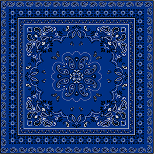 Blue Paisley