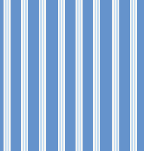  Blue Multi Stripe