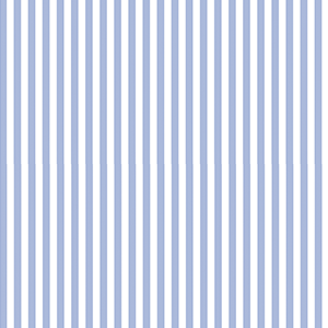  Rain Blue Stripe